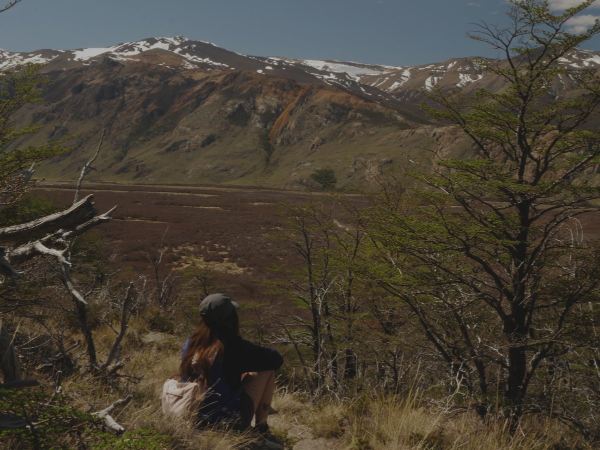 Una caminante sentada entre lengas mira un valle de montaña